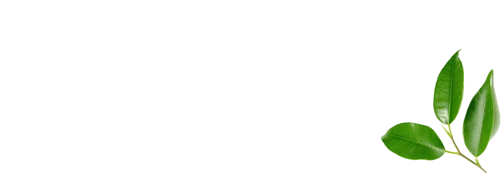 Alex l’artisan de l’arbre entretien, création, terrassement, frelons, clôtures et portails, réalisations de chantier - paysagiste à Ménilles.